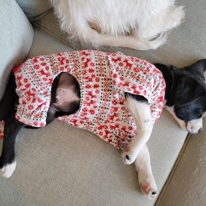 Winter dog jammies